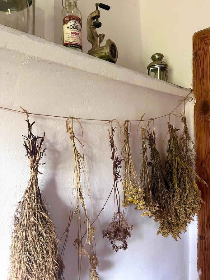 Agroturystyka U Koziolka Dlugowola Εξωτερικό φωτογραφία